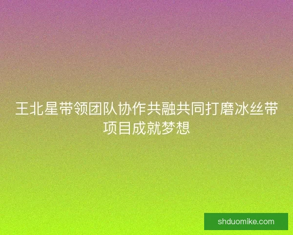 王北星带领团队协作共融共同打磨冰丝带项目成就梦想