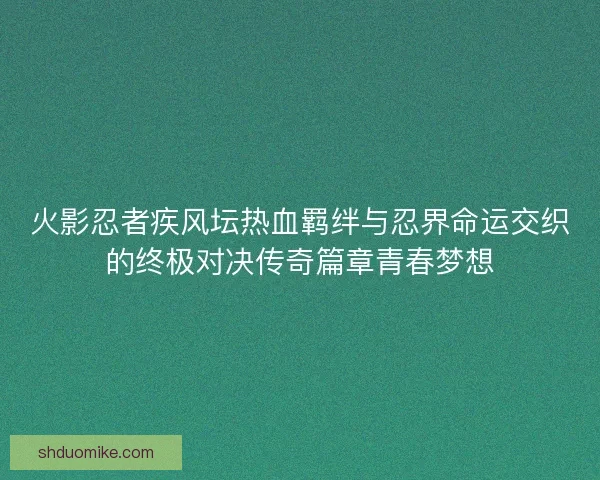 火影忍者疾风坛热血羁绊与忍界命运交织的终极对决传奇篇章青春梦想