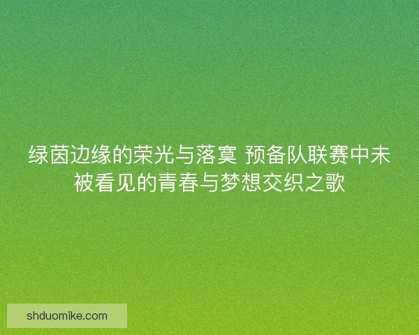 绿茵边缘的荣光与落寞 预备队联赛中未被看见的青春与梦想交织之歌